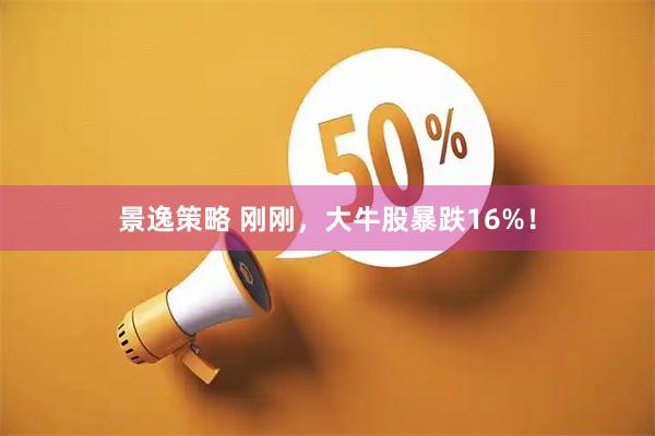 景逸策略 刚刚，大牛股暴跌16%！