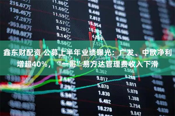 鑫东财配资 公募上半年业绩曝光：广发、中欧净利增超40%，“一哥”易方达管理费收入下滑