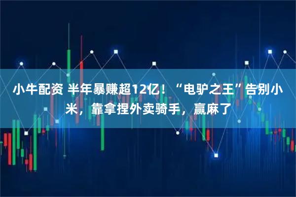 小牛配资 半年暴赚超12亿！“电驴之王”告别小米，靠拿捏外卖骑手，赢麻了