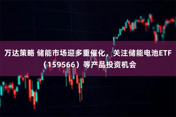 万达策略 储能市场迎多重催化，关注储能电池ETF（159566）等产品投资机会