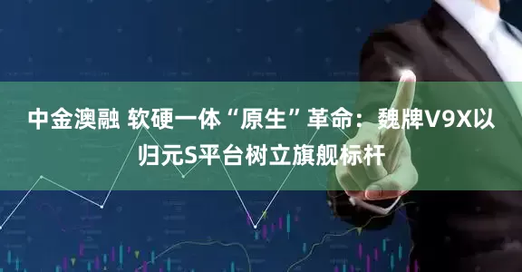 中金澳融 软硬一体“原生”革命：魏牌V9X以归元S平台树立旗舰标杆